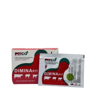 Dimina<sub>PIT</sub>