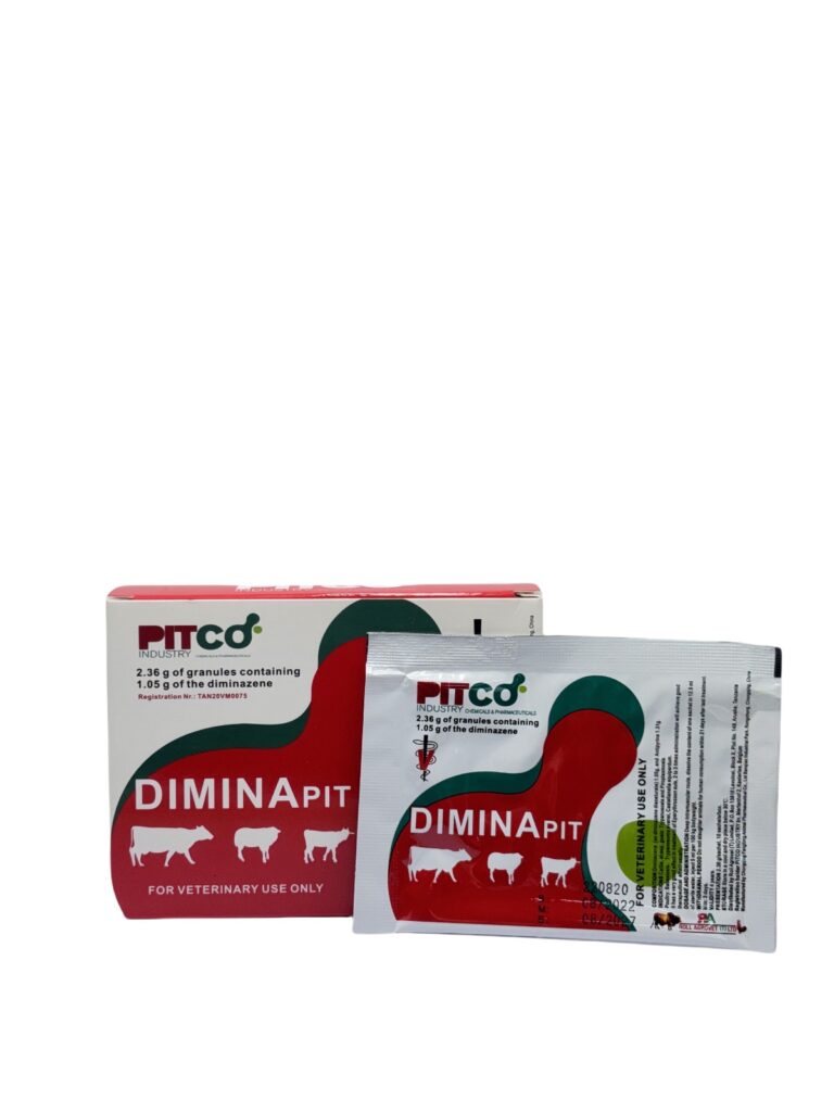 Dimina<sub>PIT</sub>