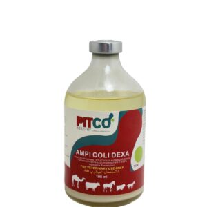 Ampi-coli-dexa