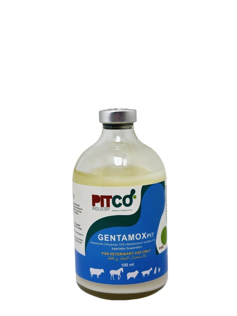 Gentamox<sub>PIT</sub>